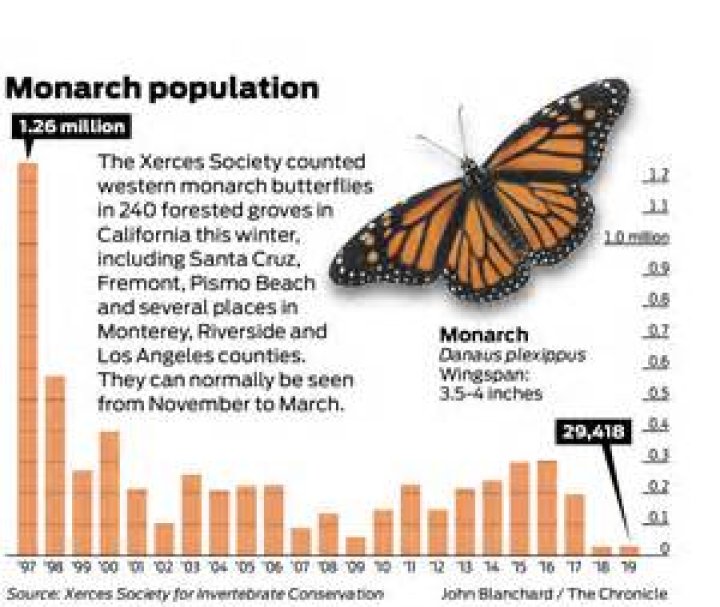 The monarch butterfly population has declined by over 90 during the